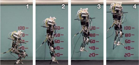 Роботы-атлеты - проект искусственной скелетно-мышечной системы