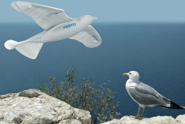 SmartBird - робот-чайка 