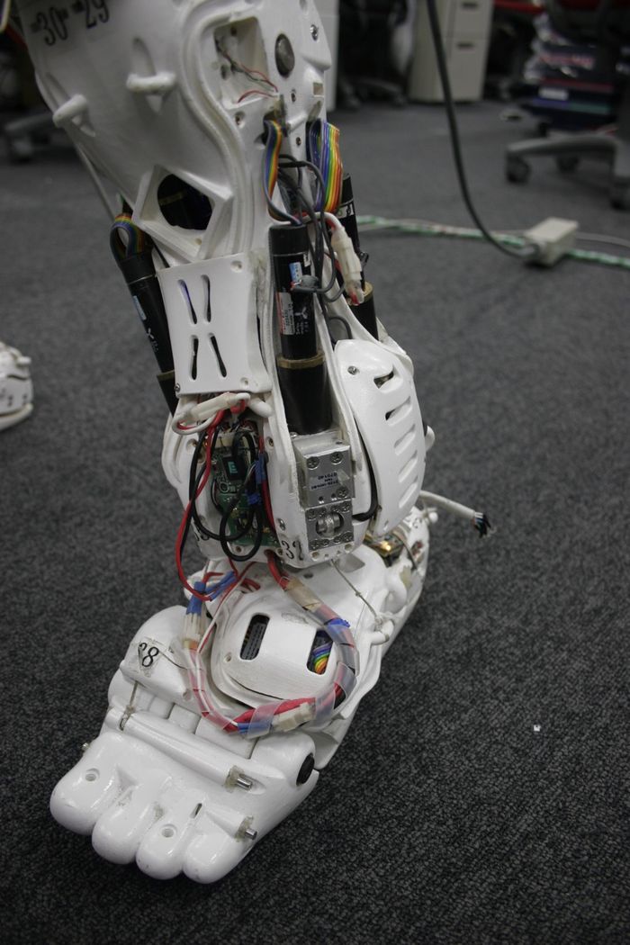Kojiro - скелетно-мышечный гуманоидный робот