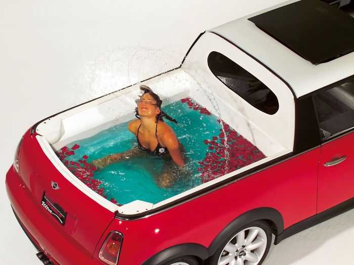 Mini XXL - лимузин с бассейном