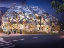 Тропики в мегаполисе – новый офис "Сферы" для Amazon 