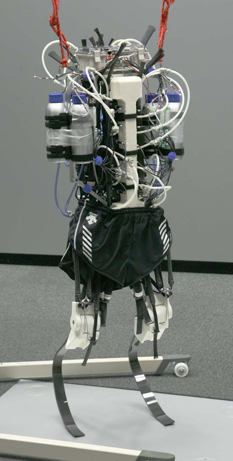 Роботы-атлеты - проект искусственной скелетно-мышечной системы