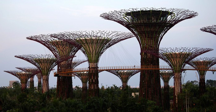 Gardens by the Bay - ботанический сад в Сингапуре