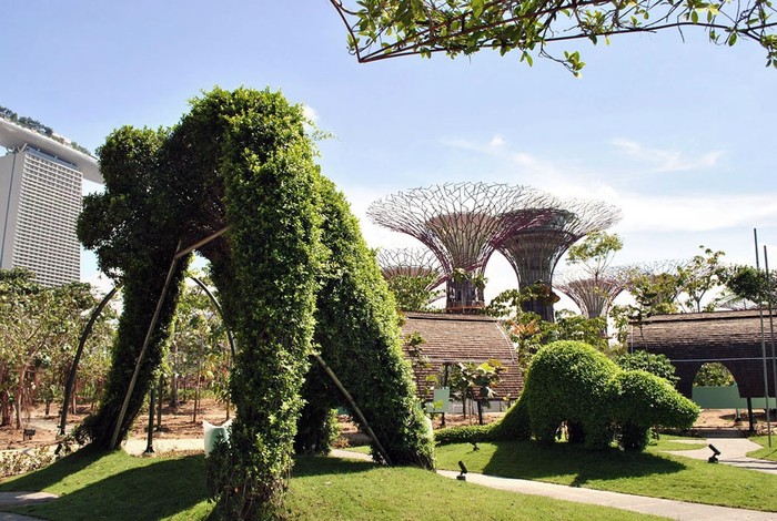 Gardens by the Bay - ботанический сад в Сингапуре
