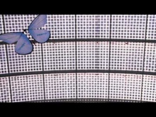 Embedded thumbnail for Бионика: роботы-бабочки